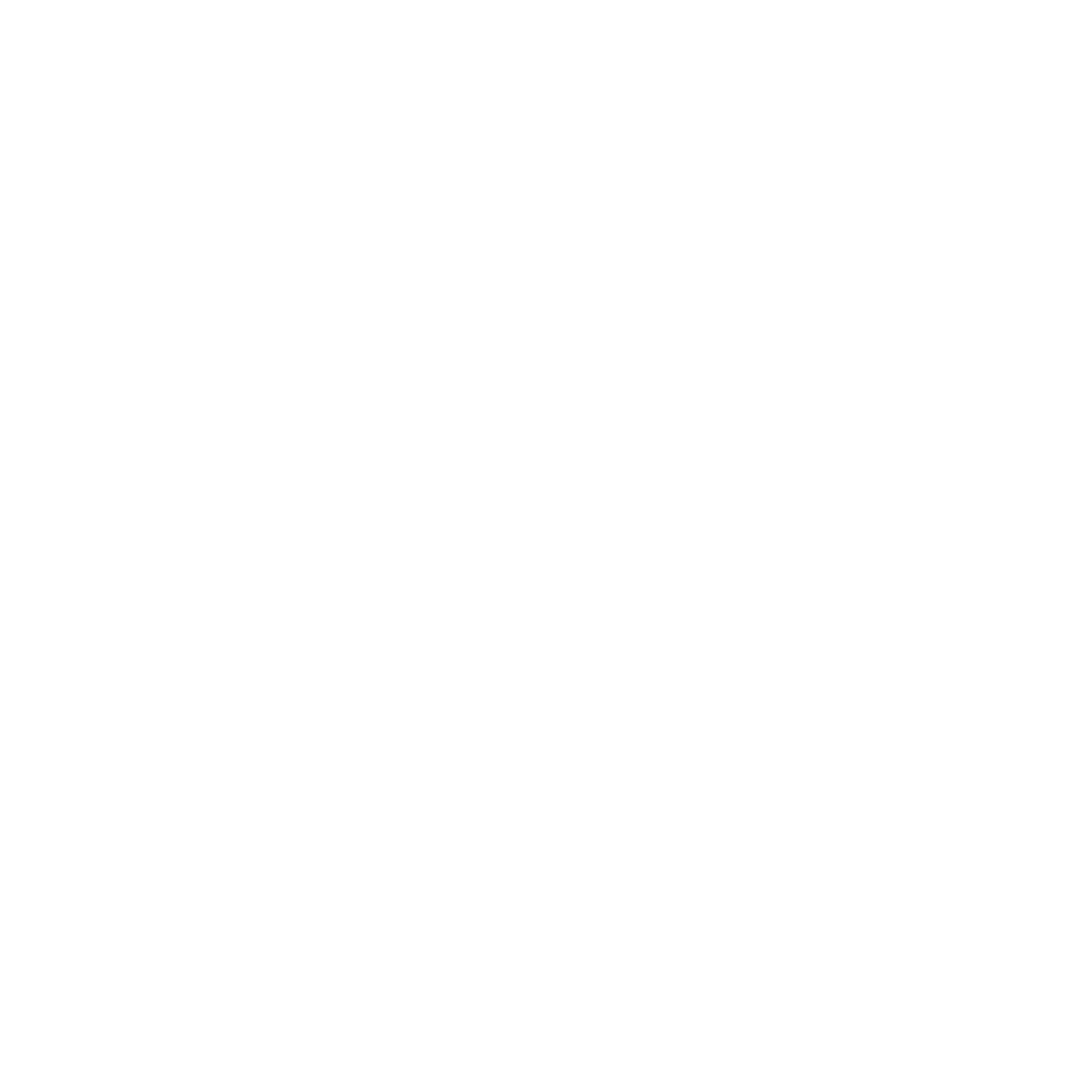 Icon Camping Zelt